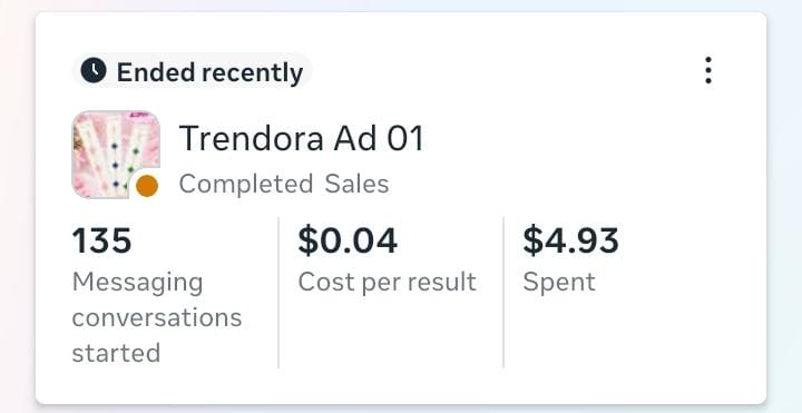 Meta Ads campaign result 03